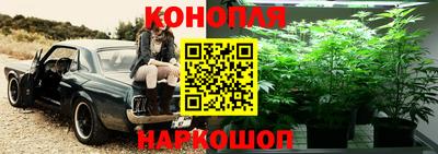 хмурый Нарткала