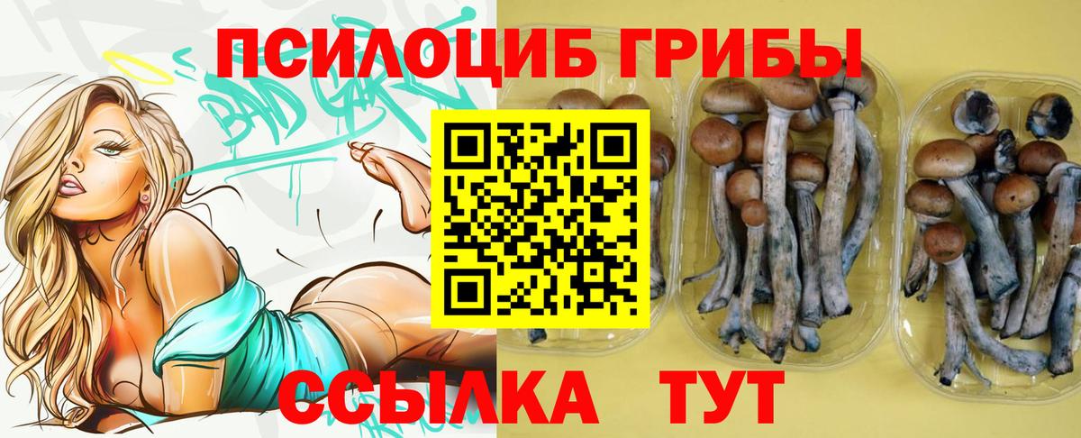 Саранск  Псилоцибиновые грибы мицелий  магазин продажи наркотиков  Вход с VPN 